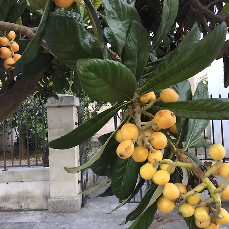 Frühstückspension Palazzo De Carlo E Il Parco Dei 7 Pozzi Lecce