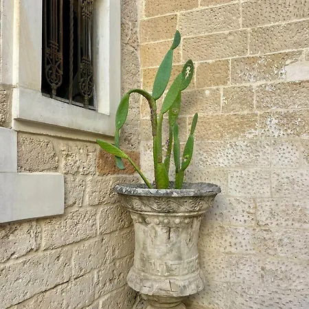 Palazzo De Carlo E Il Parco Dei 7 Pozzi B&B