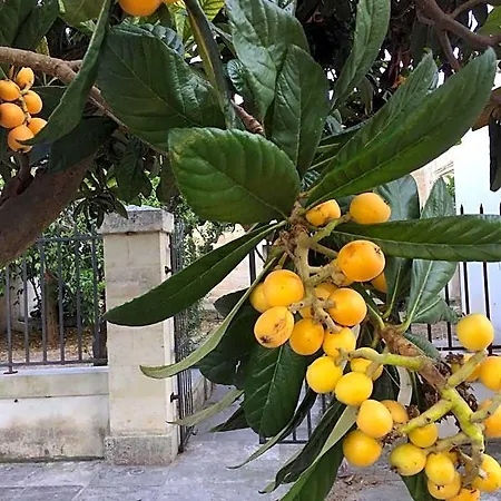 Bed & Breakfast Palazzo De Carlo E Il Parco Dei 7 Pozzi